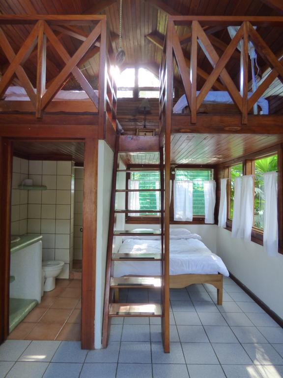 Hotel Corcovado Beach Lodge  | Puerto Jiménez | Puntarenas | Costa Rica 19