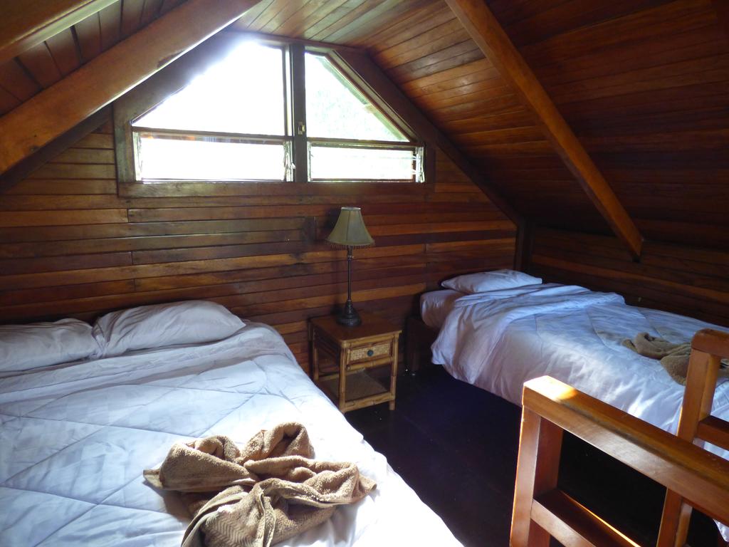 Hotel Corcovado Beach Lodge  | Puerto Jiménez | Puntarenas | Costa Rica 2