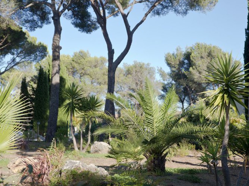 Residence La Tour De Mare  | Frejus | Var | France 1