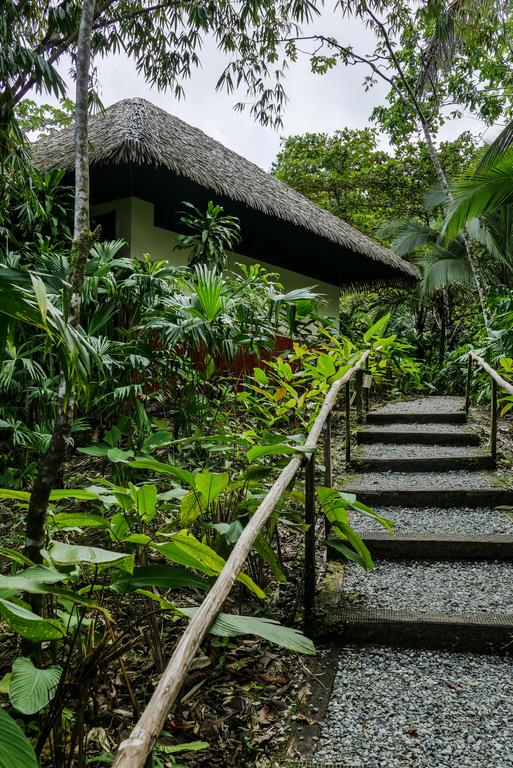 Hotel Lapa Rios Ecolodge  | Puerto Jiménez | Puntarenas | Costa Rica 17