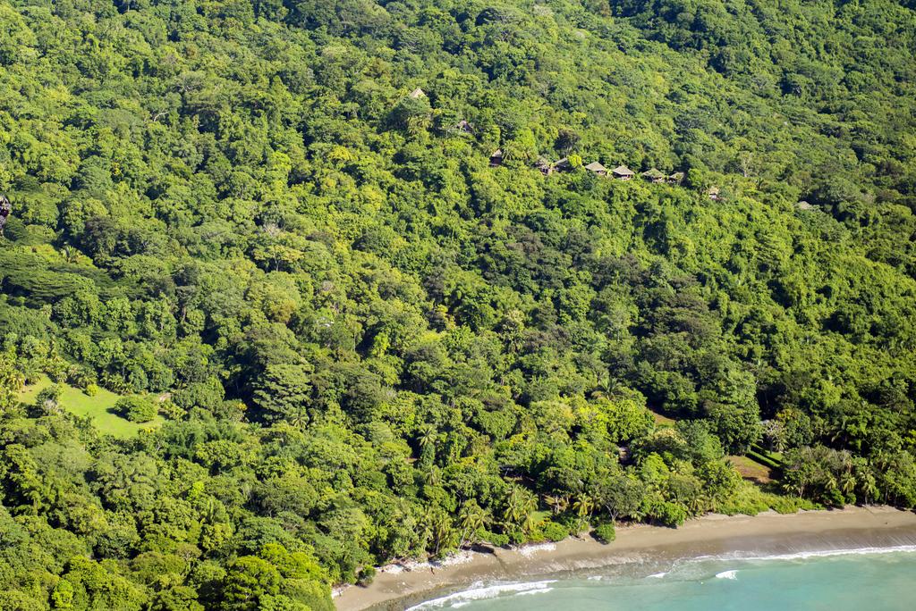 Hotel Lapa Rios Ecolodge  | Puerto Jiménez | Puntarenas | Costa Rica 19