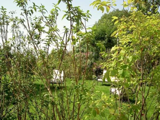 Hotel La Maison Du Coteau Valle del Marne