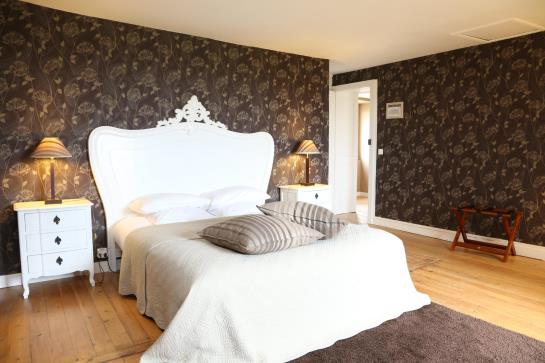 Hotel Chateau De Chanteloire  | Chouzy sur Cisse | Loir-et-Cher | France 1