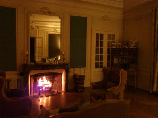 Hotel Chateau De Chanteloire  | Chouzy sur Cisse | Loir-et-Cher | France 18