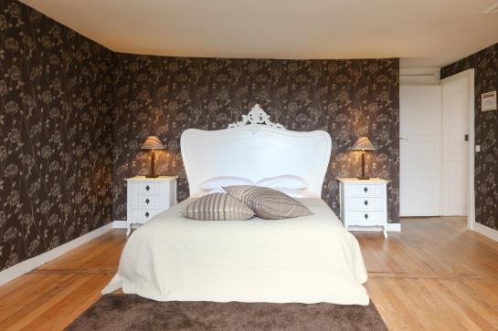 Hotel Chateau De Chanteloire  | Chouzy sur Cisse | Loir-et-Cher | France 2