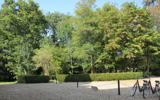 Hotel Chateau De Chanteloire  | Chouzy sur Cisse | Loir-et-Cher | France 6