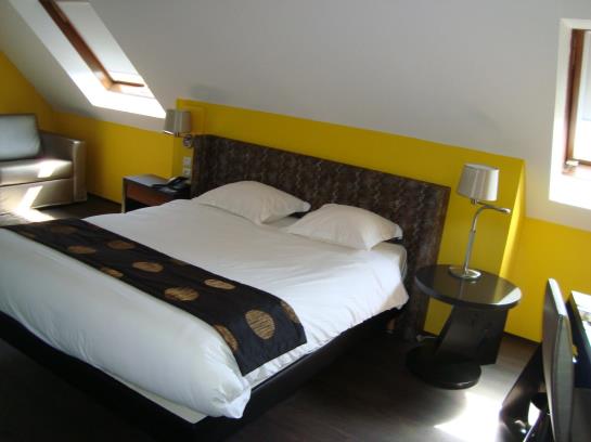 Hotel Crystal  | Erstein | Bas-Rhin | França 9