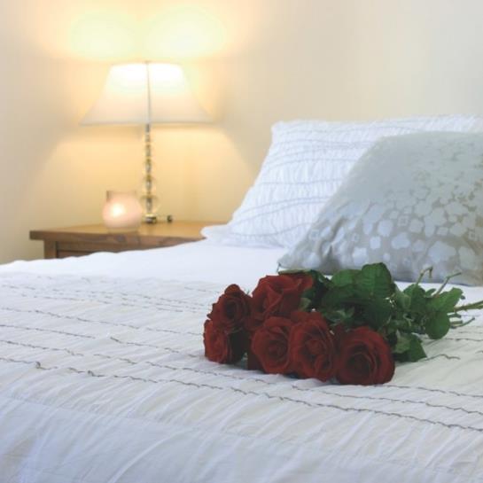 Hotel Le Château Du Faucon  | Donchery | Ardennes | França 1