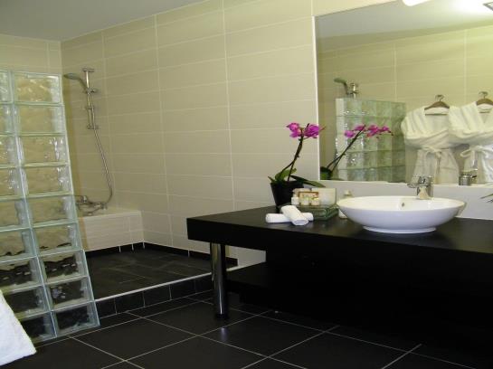 Hotel Pier Toulouse  | Toulouse | Haute-Garonne | France 16