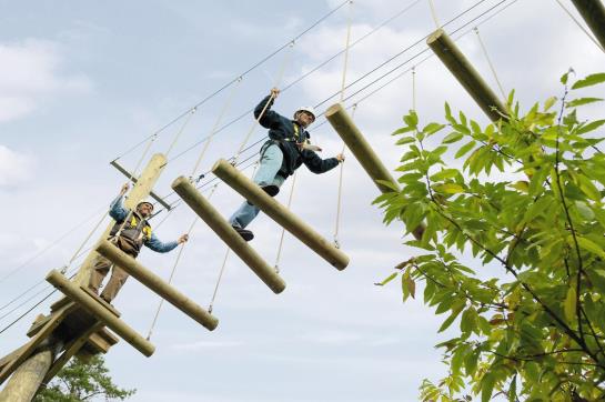 Hôtel Center Parcs Park Les Hauts De Bruyéres 