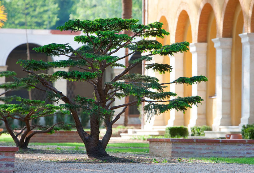 Hotel La Bastide  | Cazaubon | Gers | Frankreich 16