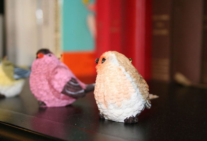 Hôtel De Nemours  | Rennes | Ille-et-Vilaine | France 9