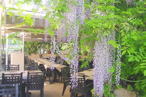 Hôtel Du Moulin à Vent  | Venissieux | Rhone | France 13