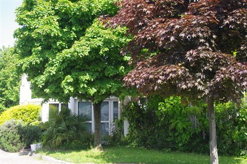 Hôtel Du Moulin à Vent  | Venissieux | Rhone | France 3