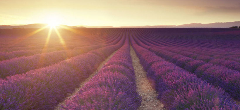 Hotel D'Albion  | Sault | Vaucluse | France 11