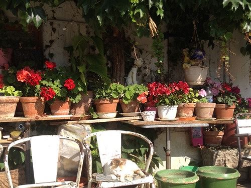 La Maison Ville  | Limoux | Aude | Frankreich 13