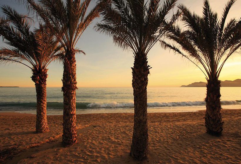 Résidence La Palme D'Azur Cannes Verrerie  | Cannes | Alpes-Maritimes | France 9