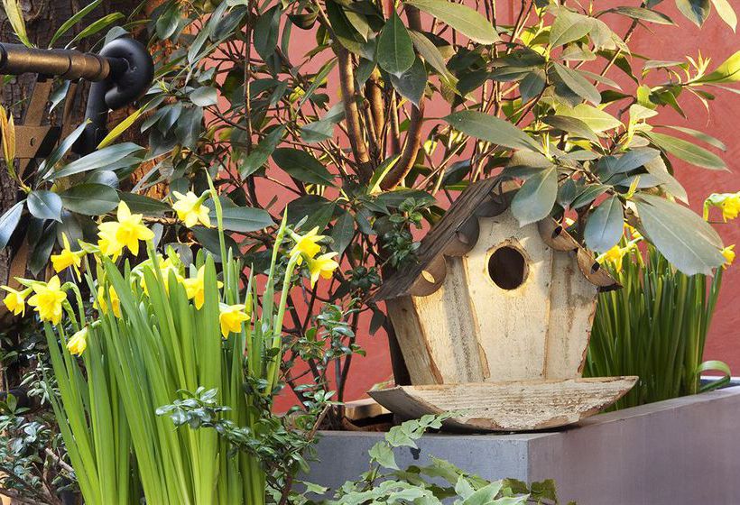 Hôtel D'albion  | Paris | Paris | France 2