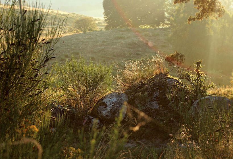 Appart'hôtel Antoine Bros  | Chaudes Aigues | Cantal | France 9