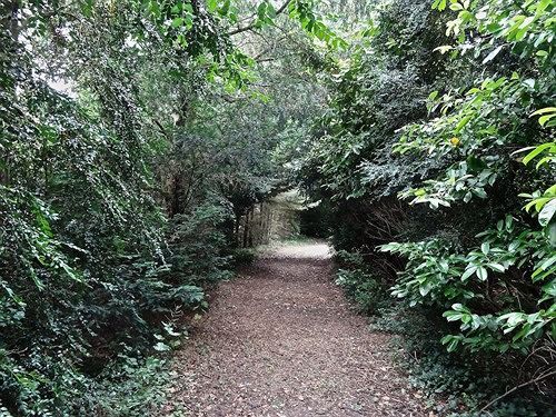 Pension Château Les Vallées  | Loches | Indre-et-Loire | France 12