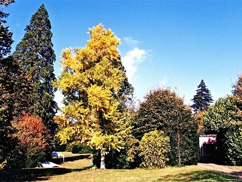 Pension Château Les Vallées  | Loches | Indre-et-Loire | France 15