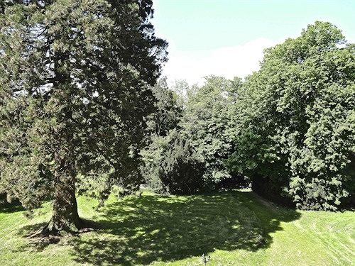 Pension Château Les Vallées  | Loches | Indre-et-Loire | France 16