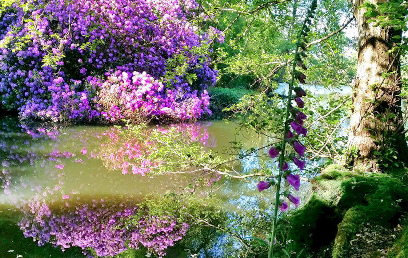 Bed and Breakfast Château De Chantore 