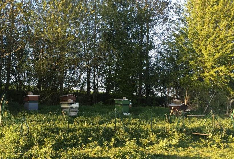 La Ferme Des Moulineaux De Bailly 