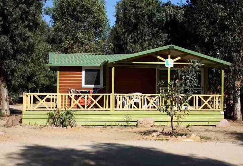 Hôtel Camping La Pinède  | Calvi | Haute-Corse | France 9