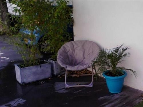 La Case Creole  | Narbonne | Aude | France 6