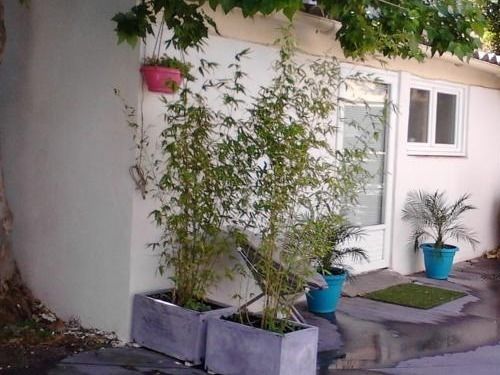 La Case Creole  | Narbonne | Aude | France 8