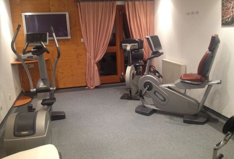 Hôtel Le Riquewihr  | Riquewihr | Haut-Rhin | França