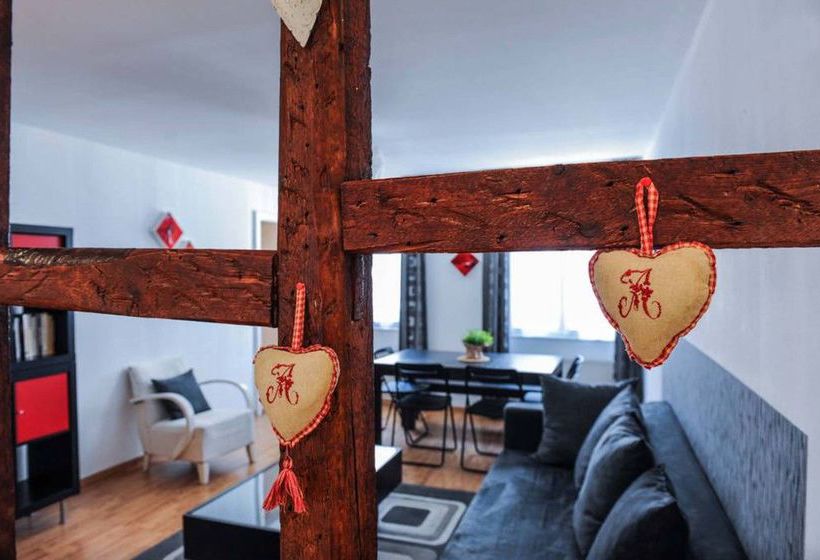 Studio Austerlitz  | Strasbourg | Bas-Rhin | France 1