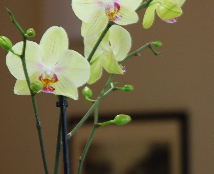 Hôtel Ruthenium  | Rodez | Aveyron | France 18