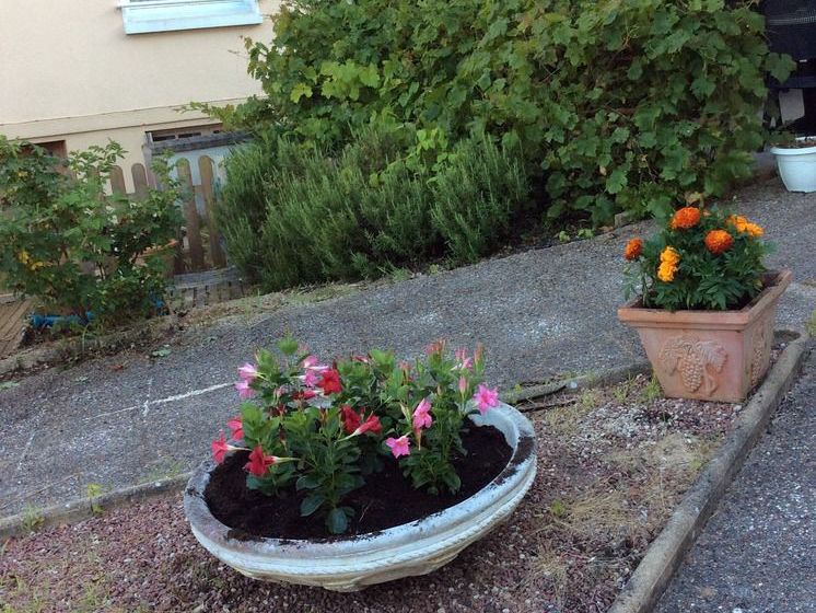 Hôtel La Vigne  | La Roche Posay | Vienne | France 14