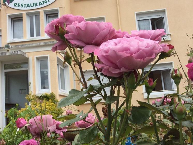 Hôtel La Vigne  | La Roche Posay | Vienne | France 3