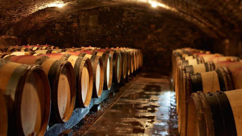 Bed and Breakfast Chez Les Fatien  | Beaune | Cote d'Or | France 18