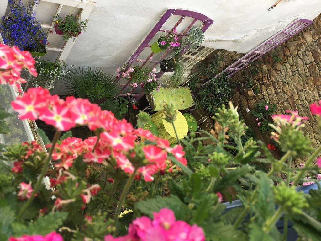 Les Chambres B&b De Giovanni  | Vannes | Morbihan | France 12