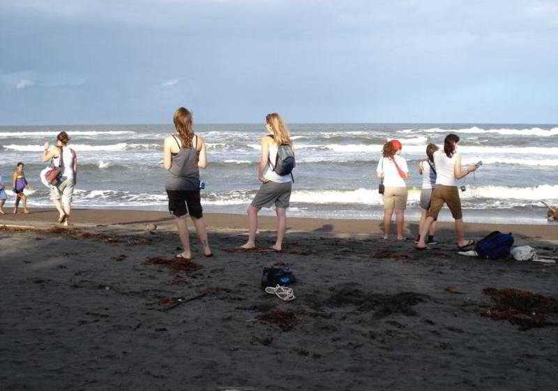 Hotel Ilan Ilan  | Limón | Limón | Costa Rica 8