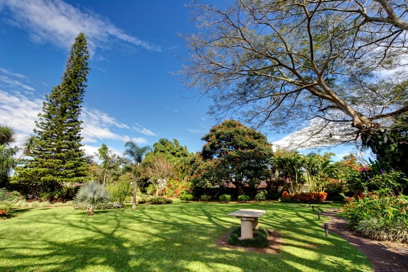 Hotel Bougainvillea   | Santo Domingo | Heredia | Costa Rica 11