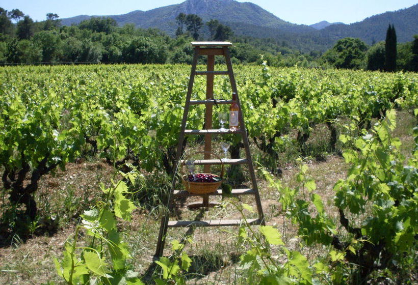 Bed and Breakfast Domaine Le Clos Du Pavillon  | Brignoles | Var | France 5