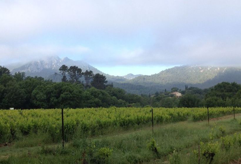 Bed and Breakfast Domaine Le Clos Du Pavillon  | Brignoles | Var | France 8