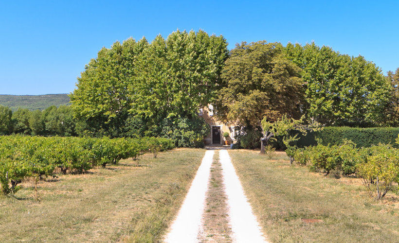 Bed and Breakfast Domaine Le Clos Du Pavillon  | Brignoles | Var | France 9