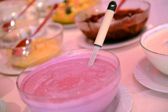 Hotel Sasso Boretto  | Ascona | Tessin | Schweiz 2