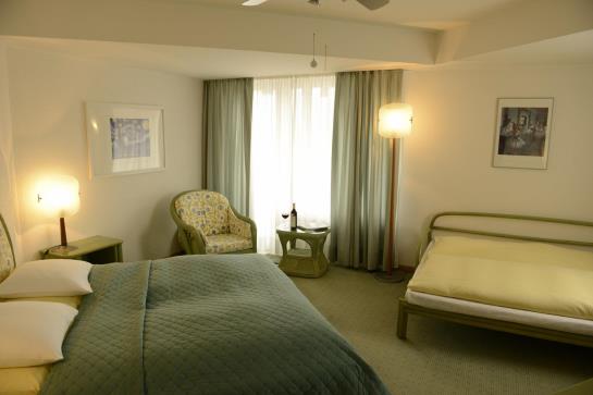 Hotel Sasso Boretto  | Ascona | Tessin | Schweiz 7