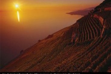 Minotel Cecil Chexbres