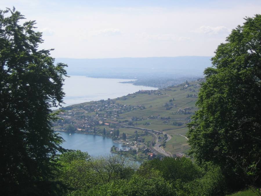 Hotel du Signal  | Chexbres | Vaud / Waadt | Suiza 1