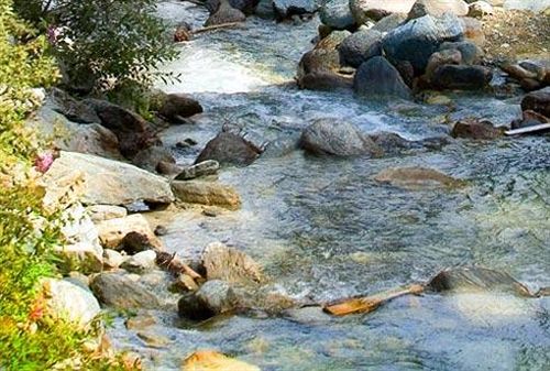 Hotel Alpina  | Grimentz | Wallis | Schweiz 5