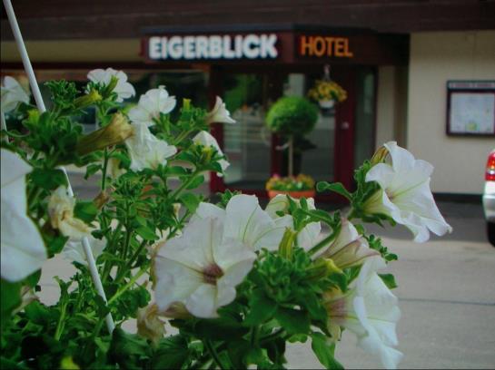 Hotel Eigerblick Grindelwald Berna