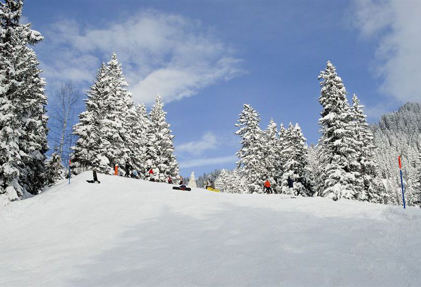 Hotel Viktoria  | Hasliberg | Berna | Suiza 10